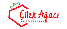 Çilek Ağacı Anaokulu